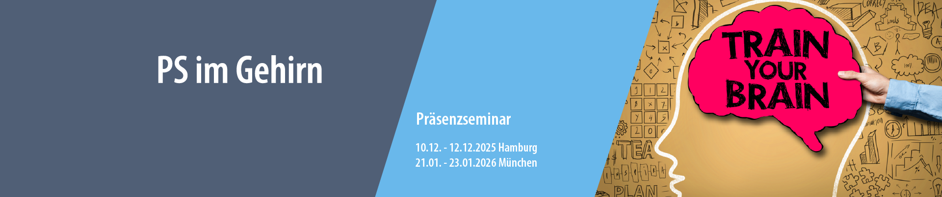 Seminar PS im Gehirn