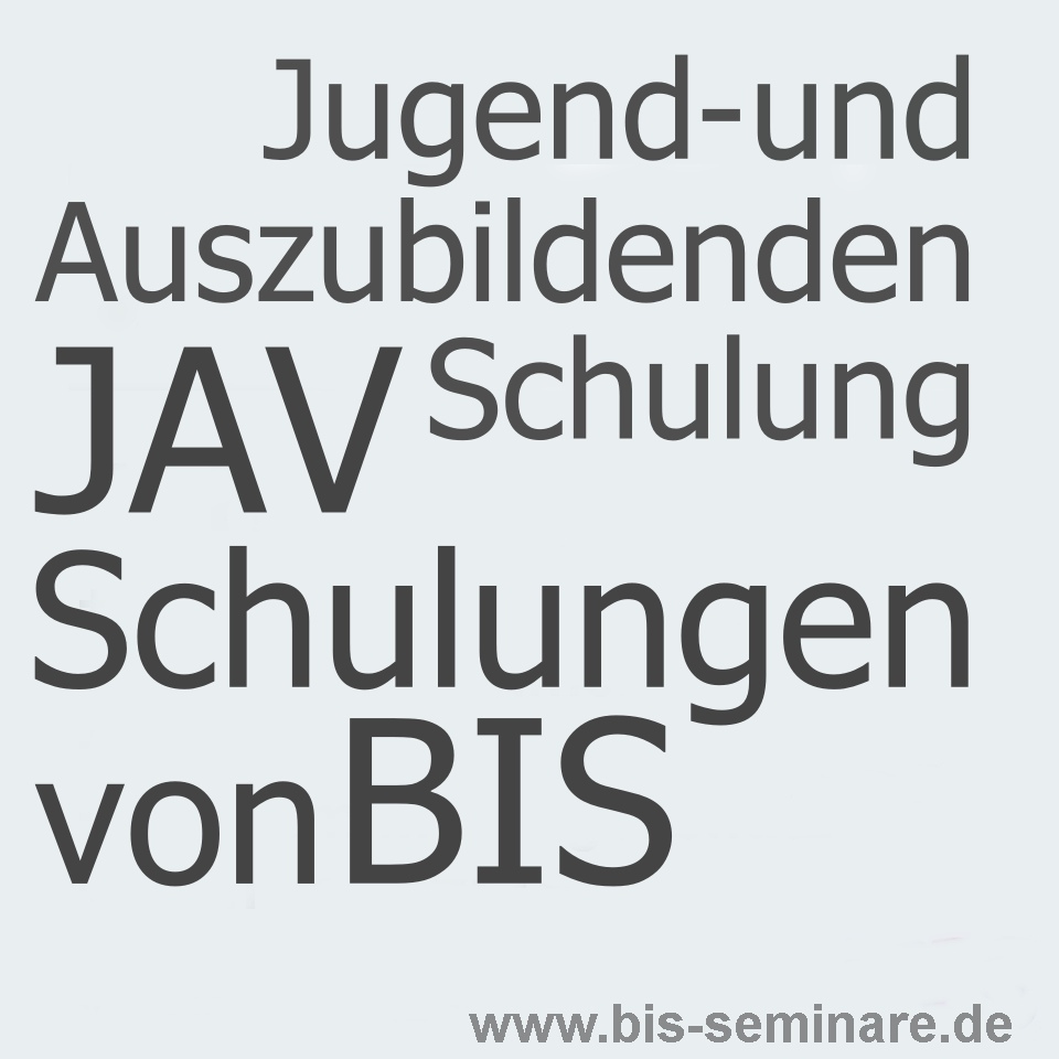 JAV Wissen Schulungen von BIS Betriebsrat Intensiv Schulungen GmbH